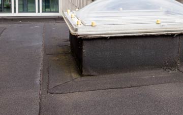 disadvantages of Roughpark flat roofs