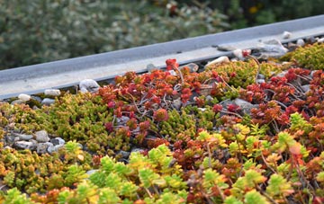 the cost of Roughpark green roof installation